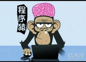 咱家改行了,我家企业的华丽蜕变